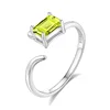 JH0169-4Olivine