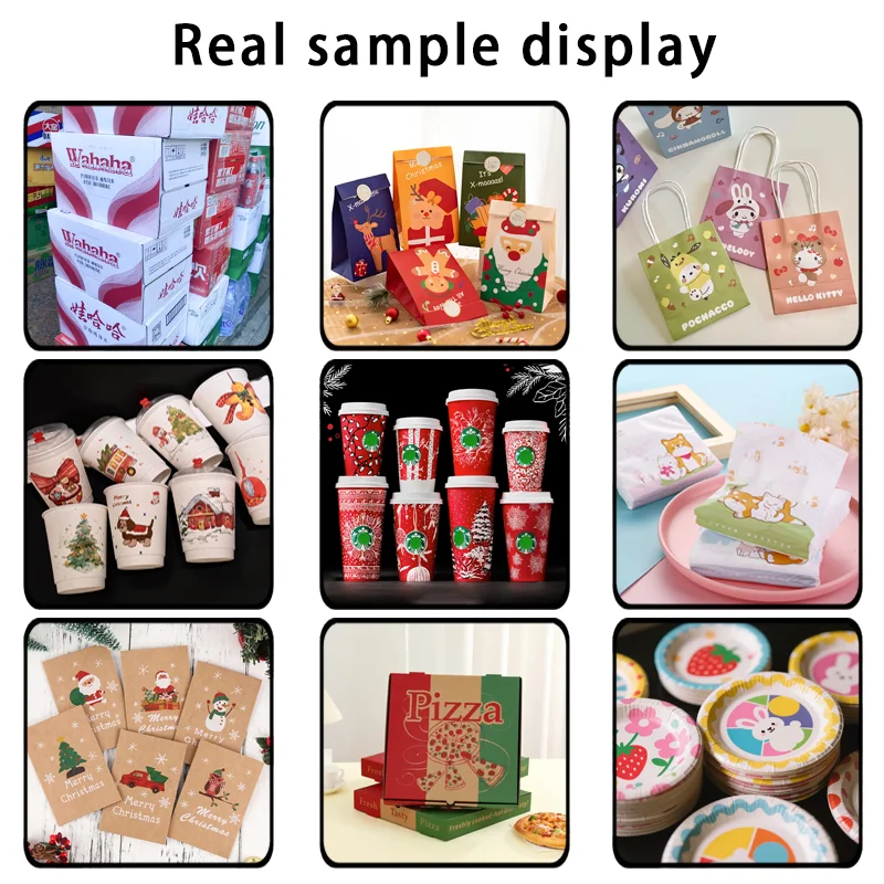 Lansong Fully Automatic Inkjet Paper Printers for Non-woven Bag Corrugated Cardboard Kraft Paper Tissue Napkins Cup Fan details