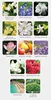 Options de parfum