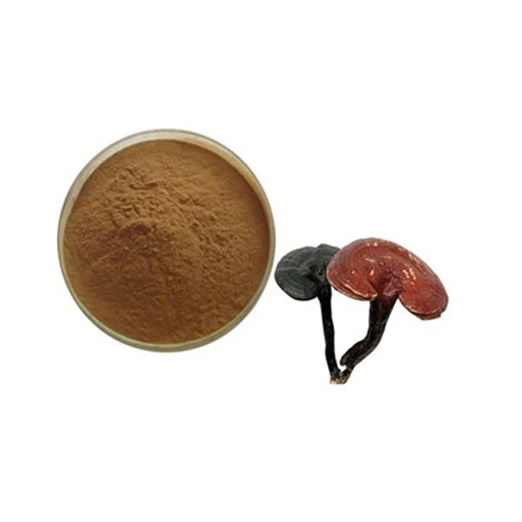 Lingzhi Ganoderma Lucidum Extract Organic Reishi Mushroom Powder - Buy ...