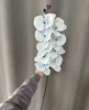Azul claro