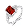 JH0162-5Garnet