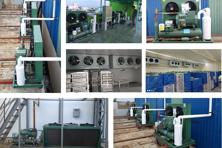 Cold Room Ac Condenser Unit Refrigeration Condensing Unit for Cold Storage Room