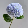 8# Azul claro