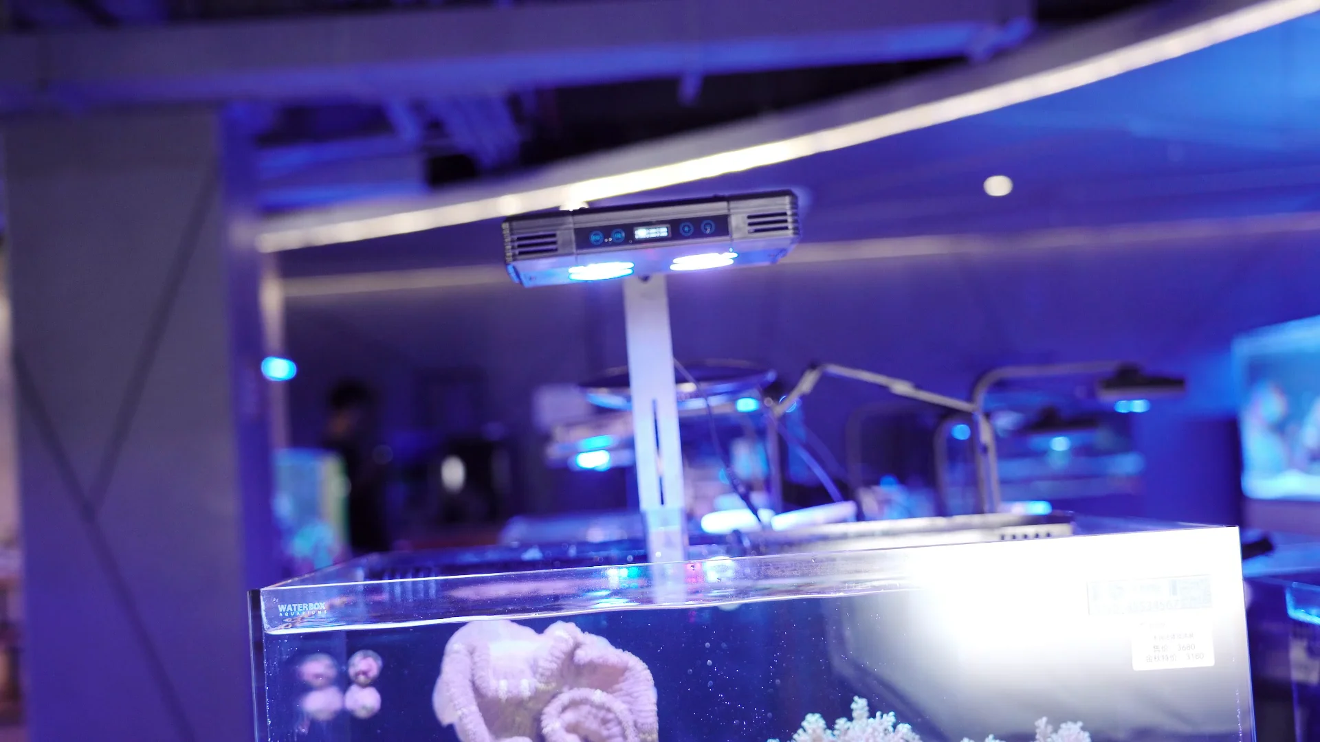 best aquarium reef lighting - Fishing And Fish