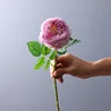 สีม่วง