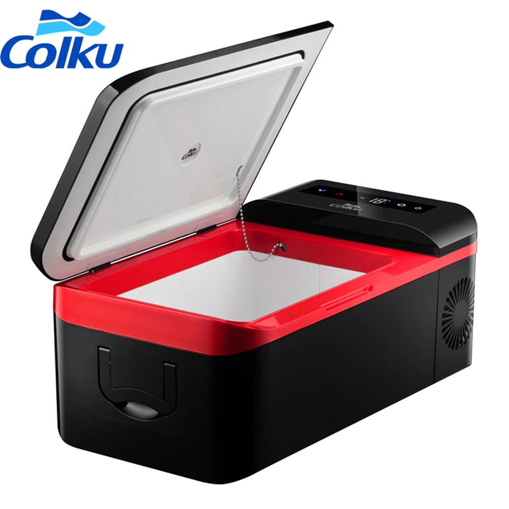 12 В 24 Мини Портативный охлаждающий холодильник с двойной температурой и компрессором постоянного тока