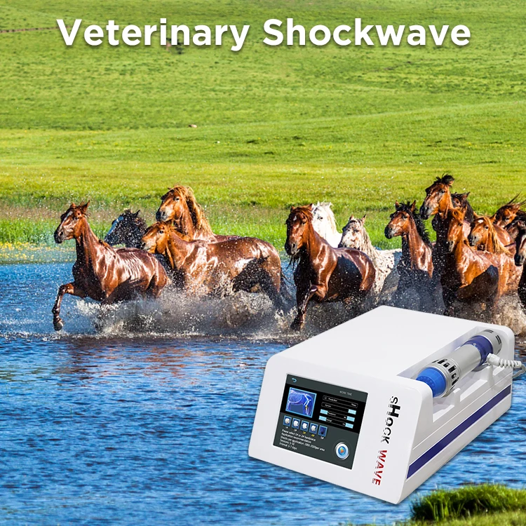 Vet Shock Wave Device Eswt Cellulite Weight Loss Shockwave Therapy Machine for Erectile Dysfunction Pain Relief