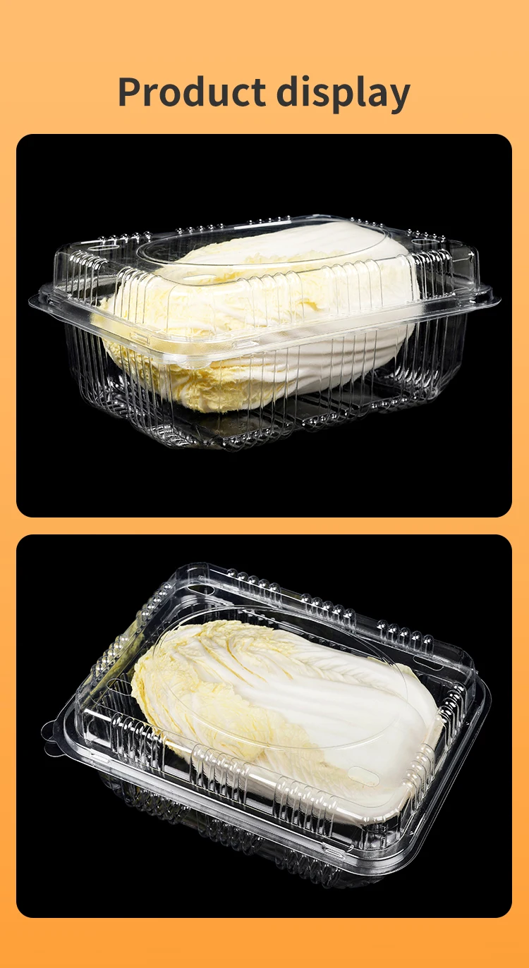 OEM Clear Plastic Hinged Take Out Punnet Containers