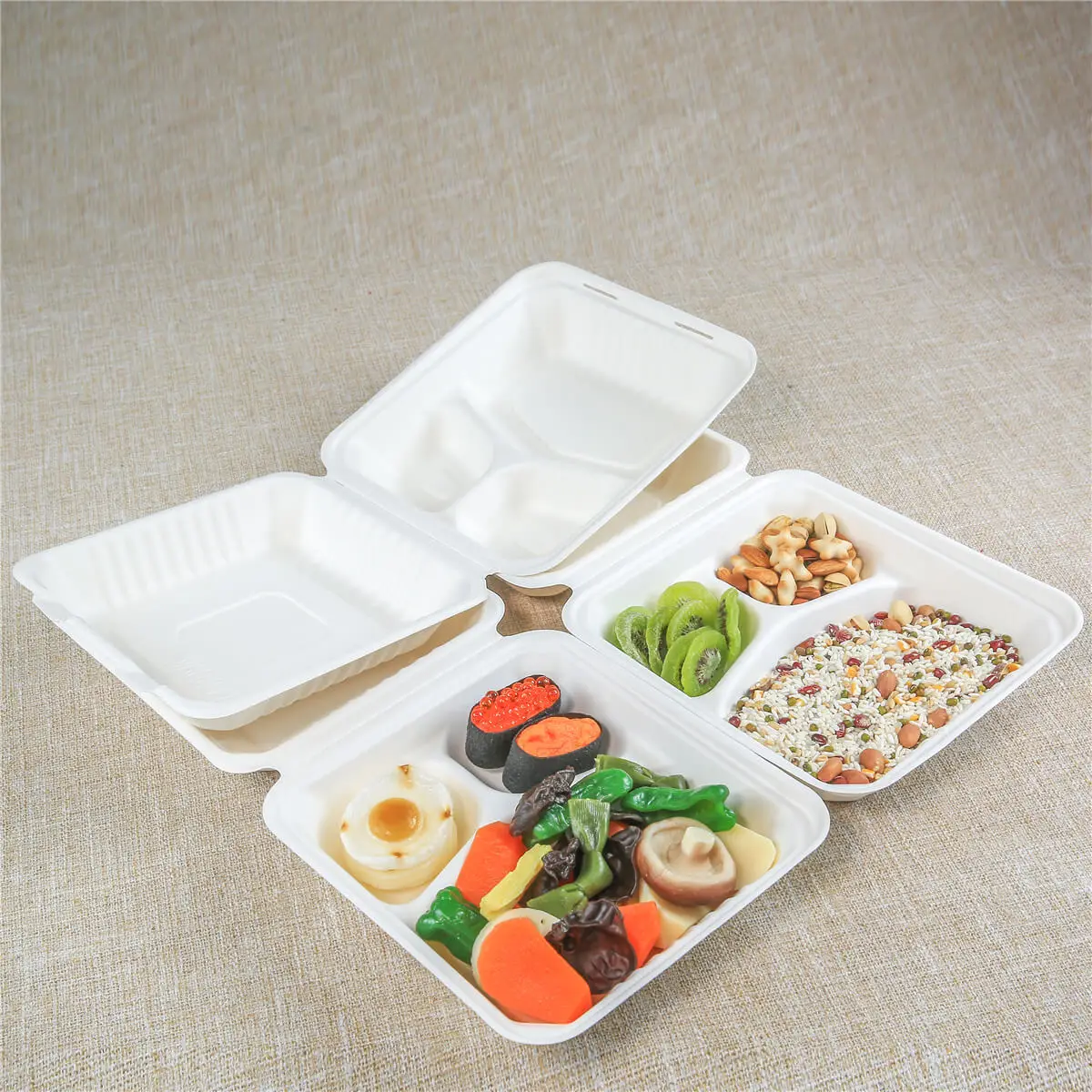 Food Packaging Container Disposable Paper Biodegradable Lunch Box Bento  Packing Box - China Sugarcane Pulp and European Standards price