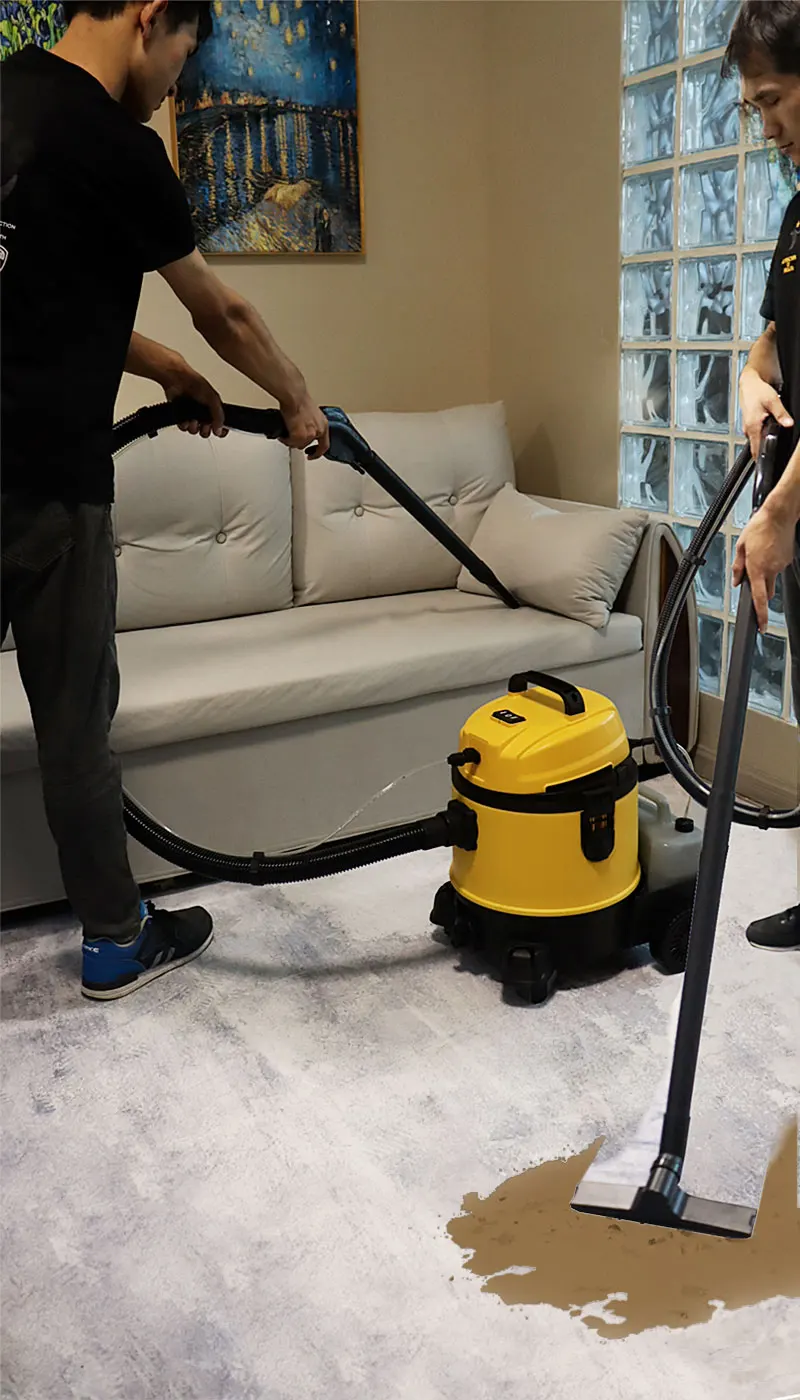 Eako 2022 High Inquiries Washing Carpet And Car Seat Shampoo Vacuum