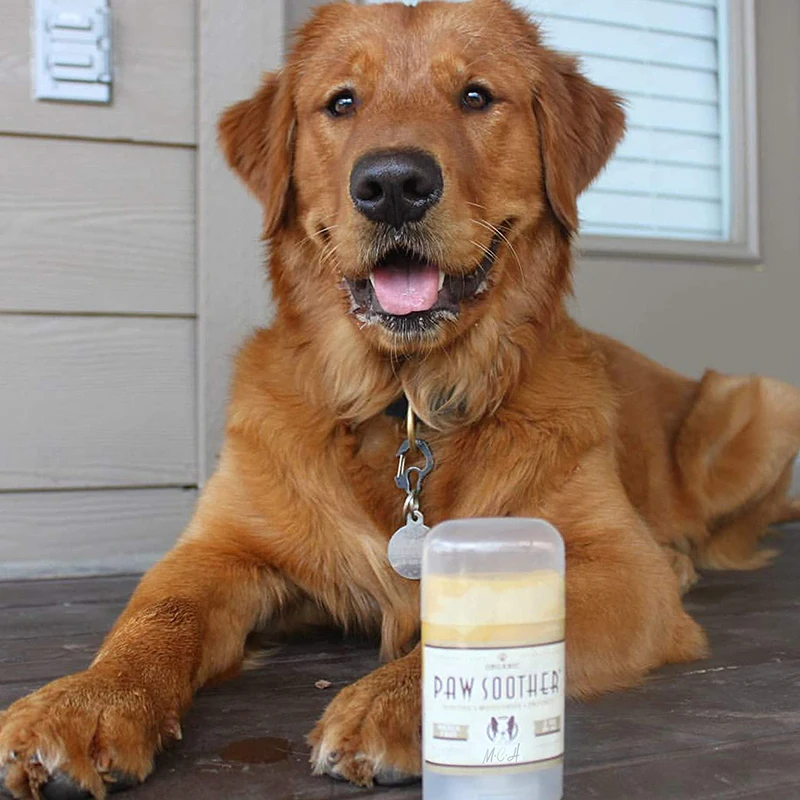 Stocked Paw Nose Balm for Dogs and Cats Dry Cracked Paws Relief Nose Butter  Wax