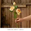 1 burnt-edged champagne rose