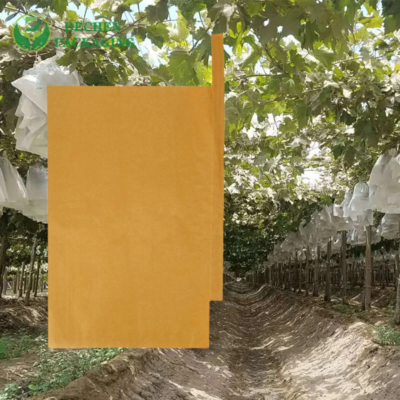 Fruit 20*30 Water Proof Coated With Wax Micropore Paper Protection Cover Bag For Table Grape Growing