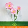 สีชมพู