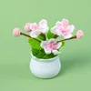 (x style) peach blossom potted plant