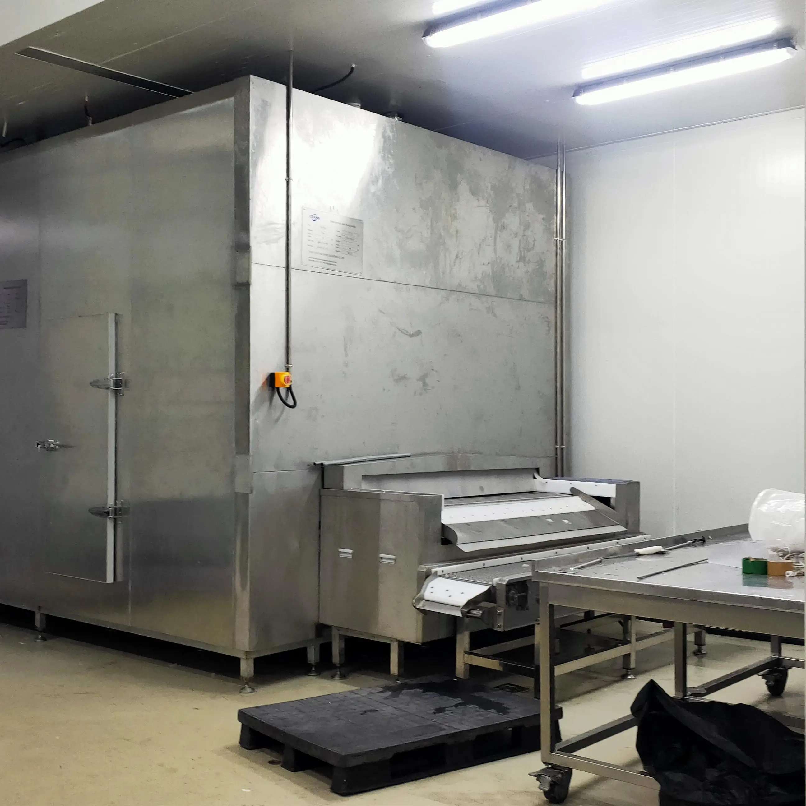 Continuous IQF freezer tunnel high-speed freezer for fruits, vegetables and meat