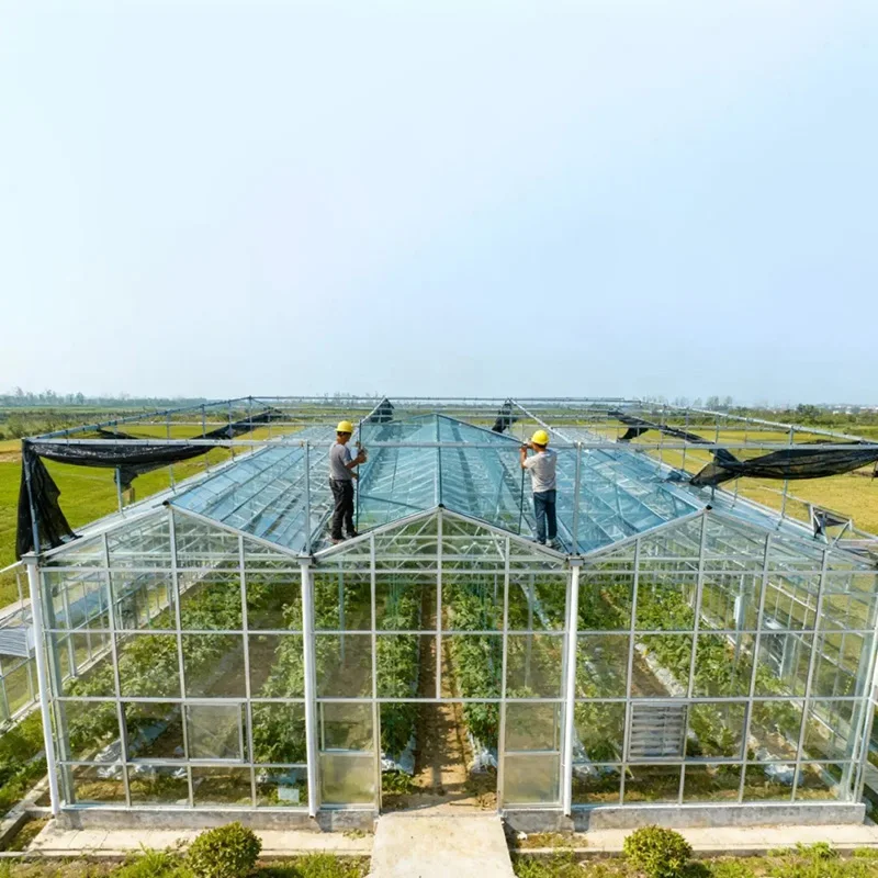 H91775bbe1a3a4443af6198c7d77294a8Y