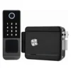 Negro