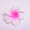 White+Pink