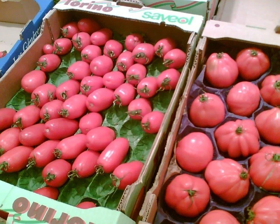 Disposable 100% Biodegradable Fresh Fruit and Vegetables Packing Insert 2 Layers Plum Alveoli Paper Tray Liner
