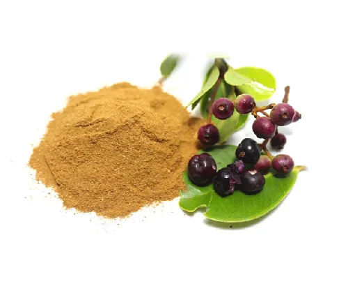 Wholesale Jamun Extract Powder Natural Syzygium Cumini Extract Rich in Antioxidants Bulk Supply for Supplements