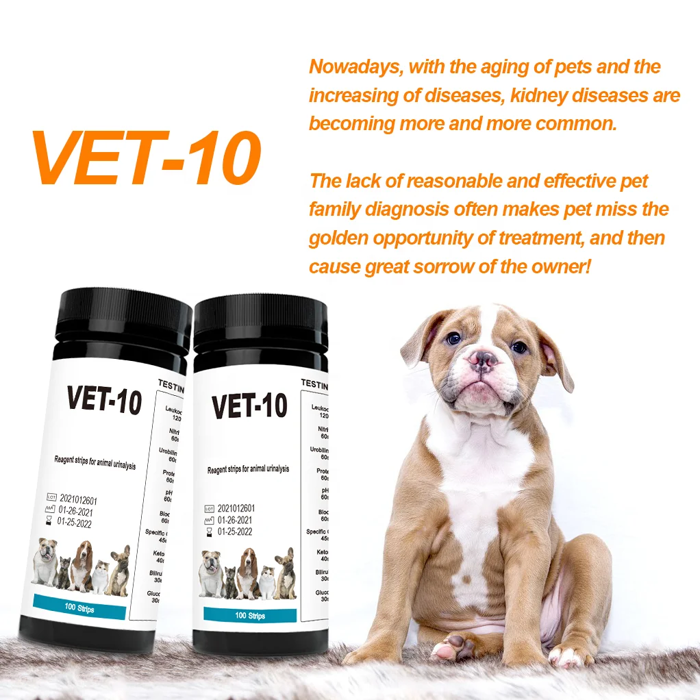 Diagnosing Diabetes Insipidus In Dogs lupon.gov.ph