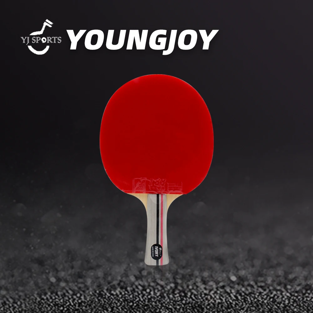 Double Fish 8A+ Table Tennis Bats - ITTF Approved Carbon