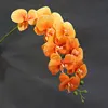 Arancione