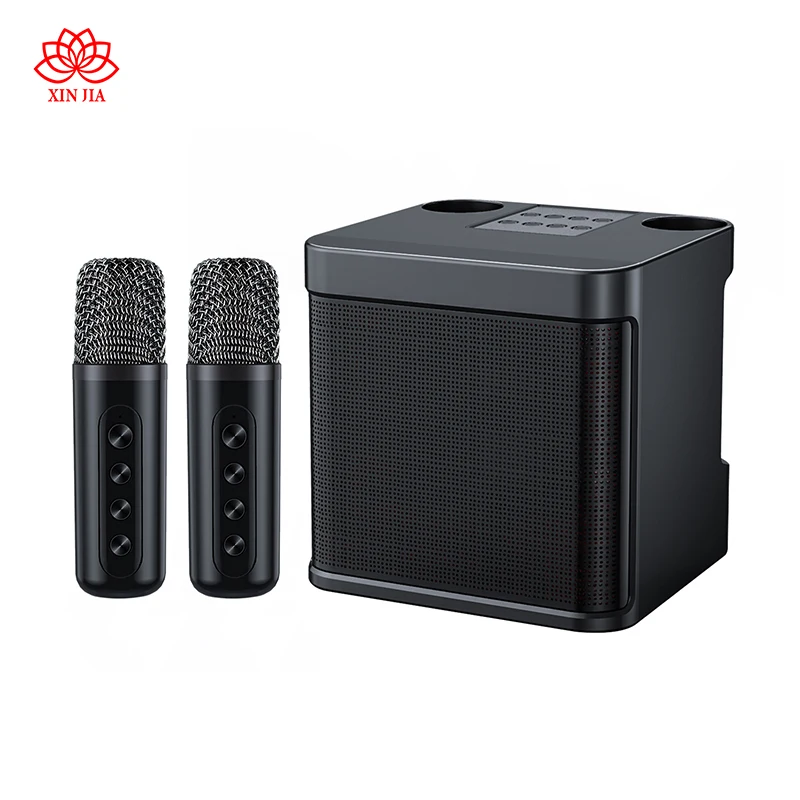 YS-203 Karaoke Machine Portable Bluetooth Speaker for All