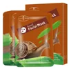 snail