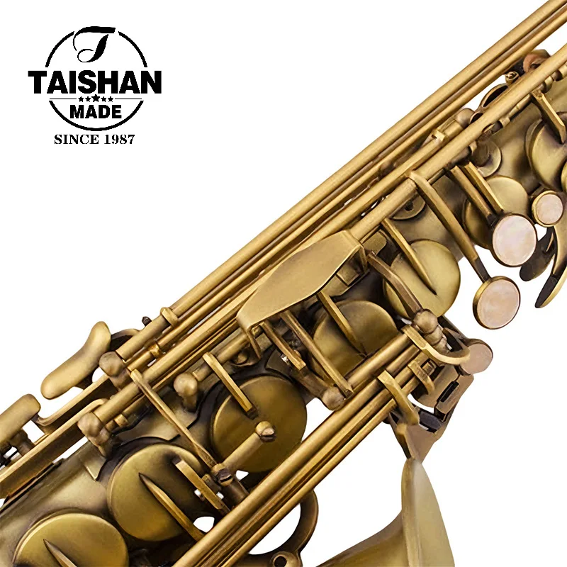Taishan TSAS-6000L Matte Antique Bronze Finish Adjustable