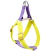 PURPLE YELLOW Harness