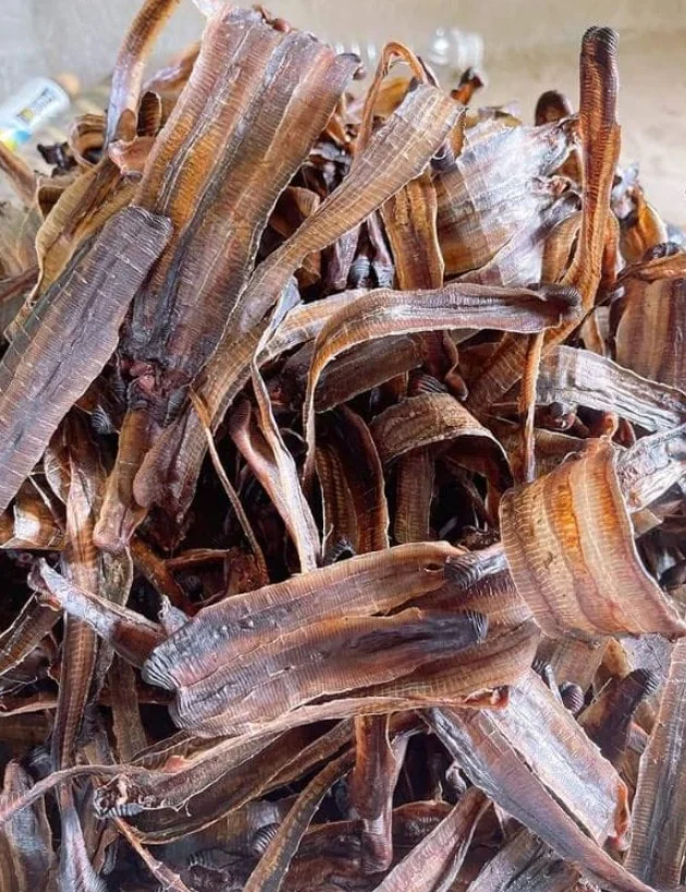 DRIED EARTHWORM SUPPLIER FROM VIETNAM BEST QUALITY BEST SELLING ITEM WITH COMPETITIVE PRICE