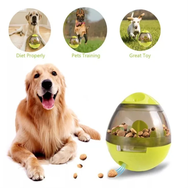 dog food maze ball