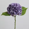 15 morado