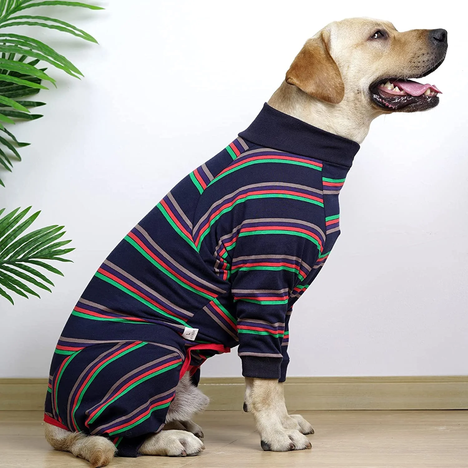 Traje De Recuperación De Cirugía Para Perros, Aeluco Para Perros