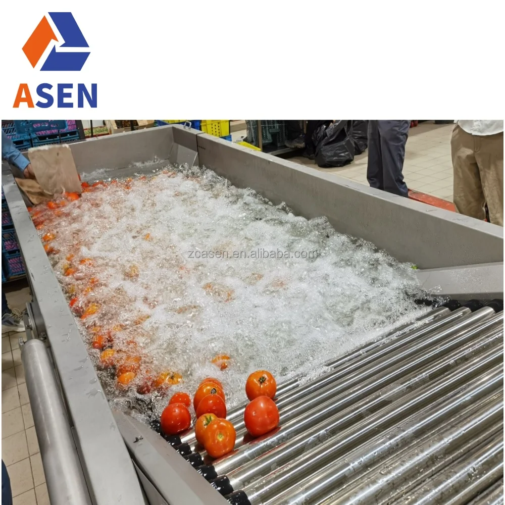 Ginger Cucumber Tomato Fruit Washing Machine Sorting Processing Line Vegetable Cleaning Equipment