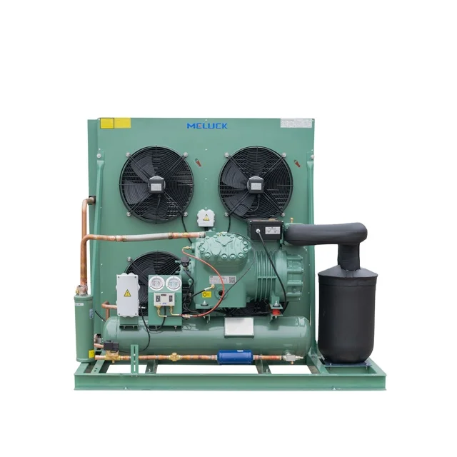 Cold Room Condensing Unit Low Temperature Freezer R410A PLC Core Components Condensing Unit