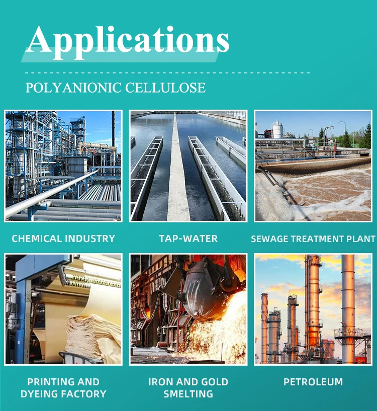 Petrochemical Fluid Loss Control Agent Pac For Oil Drilling Polyanionic