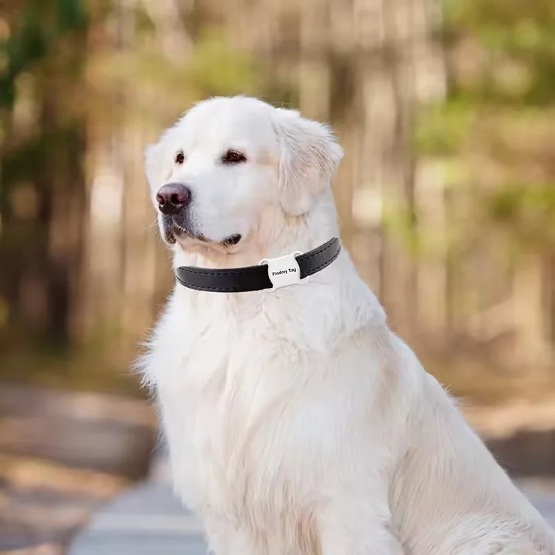 Waterproof Locator Mini GPS Tracker Bluetooths Wireless Cat Collars Dog Tracker Smart Animal Finder Pet Tracker Dog Products