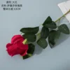 Rojo Intenso