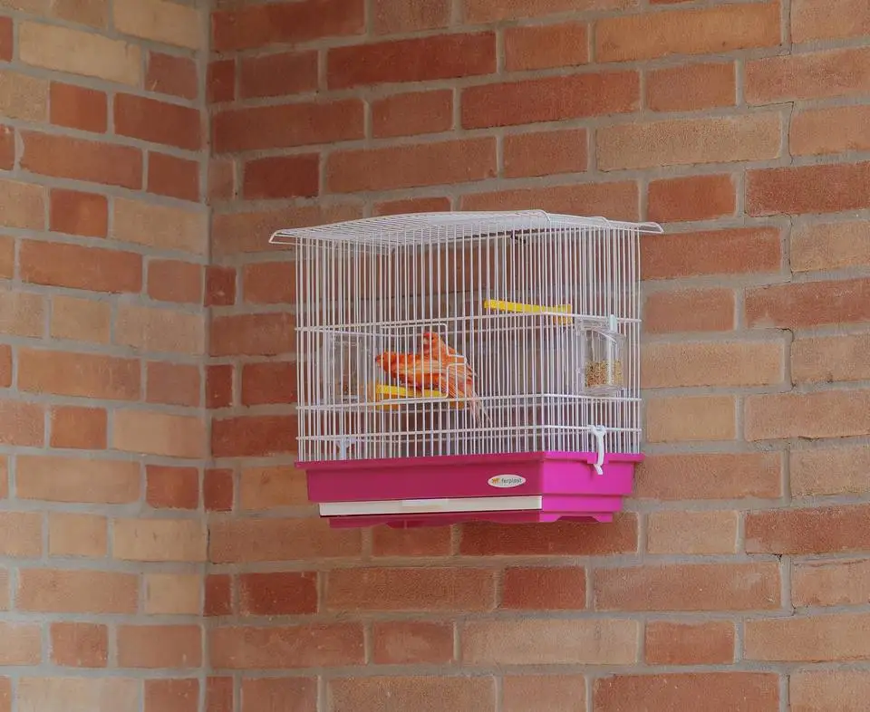 GIUSY Canary and Small Exotic Bird Cage