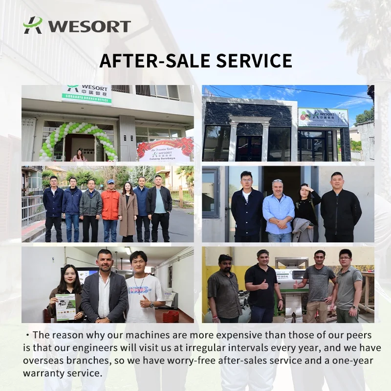 WESORT Manufacturer 6SXZ-204 Nut Processing Machine Shape Sorter for Pine Nuts Pistachios Walnuts Figs Etc. Color Sorter