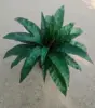 Green 5