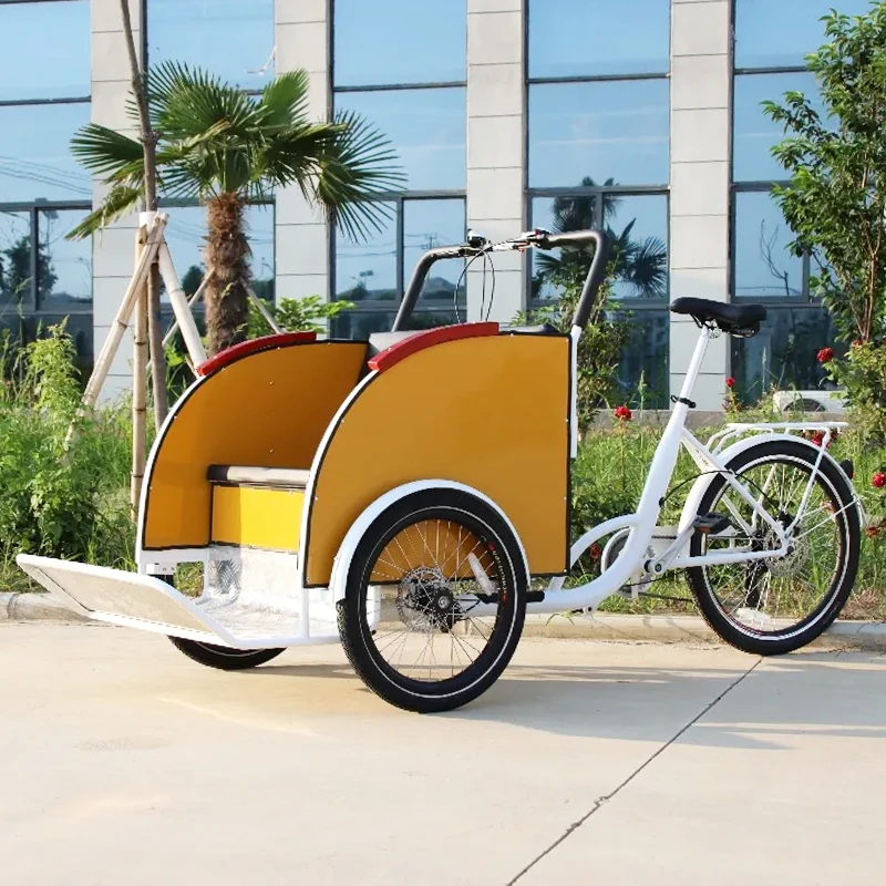 Popular Pedal Cargo Tricycle Taxi - Electric Assist Rickshaw