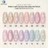 Vernis Gel Effet Œil de Chat Lumineux (Sans HEMA ni TPO)