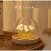 10 rose-rosa
