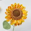 (SStyle) large sunflower with seeds