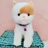 Yellow bell cat